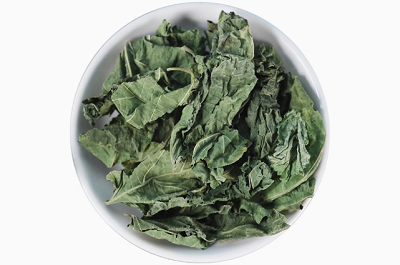 桑叶茶