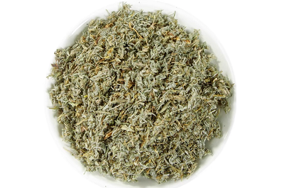 茵陈