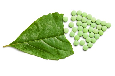 青柳灵芝石斛片