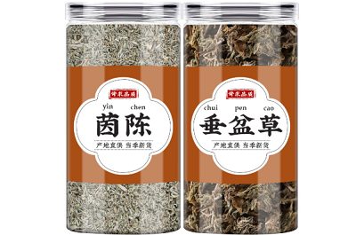 茵陈垂盆草