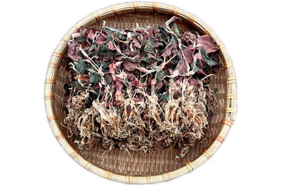 image 金线莲