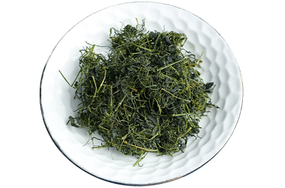 绞股蓝